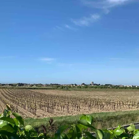 Clos Domitia Bassin De Thau Loupian